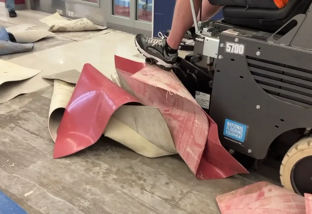 Ride-on floor scraper peeling old sheet flooring off a commercial slab in long strips